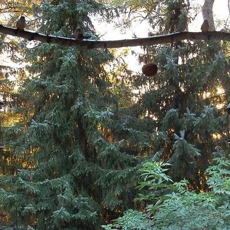 Talblick St Andreasberg *
